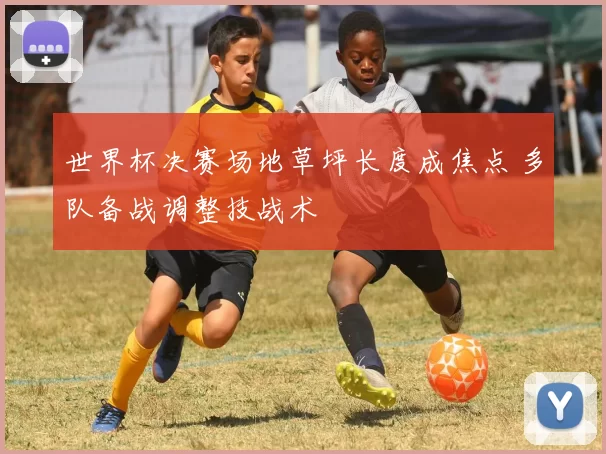 世界杯决赛场地草坪长度成焦点 多队备战调整技战术