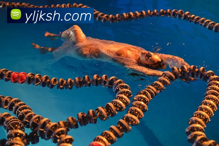 qy球友会·(中国)官方网站APP 封面图